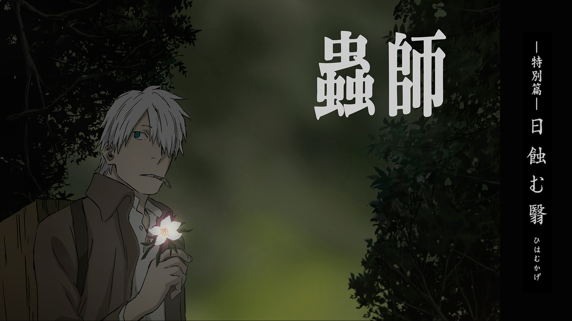 mushishi tokubetsuhen nisshokumuei