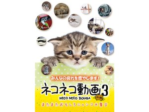 nekonekodouga3 matamataomoshironyankodai