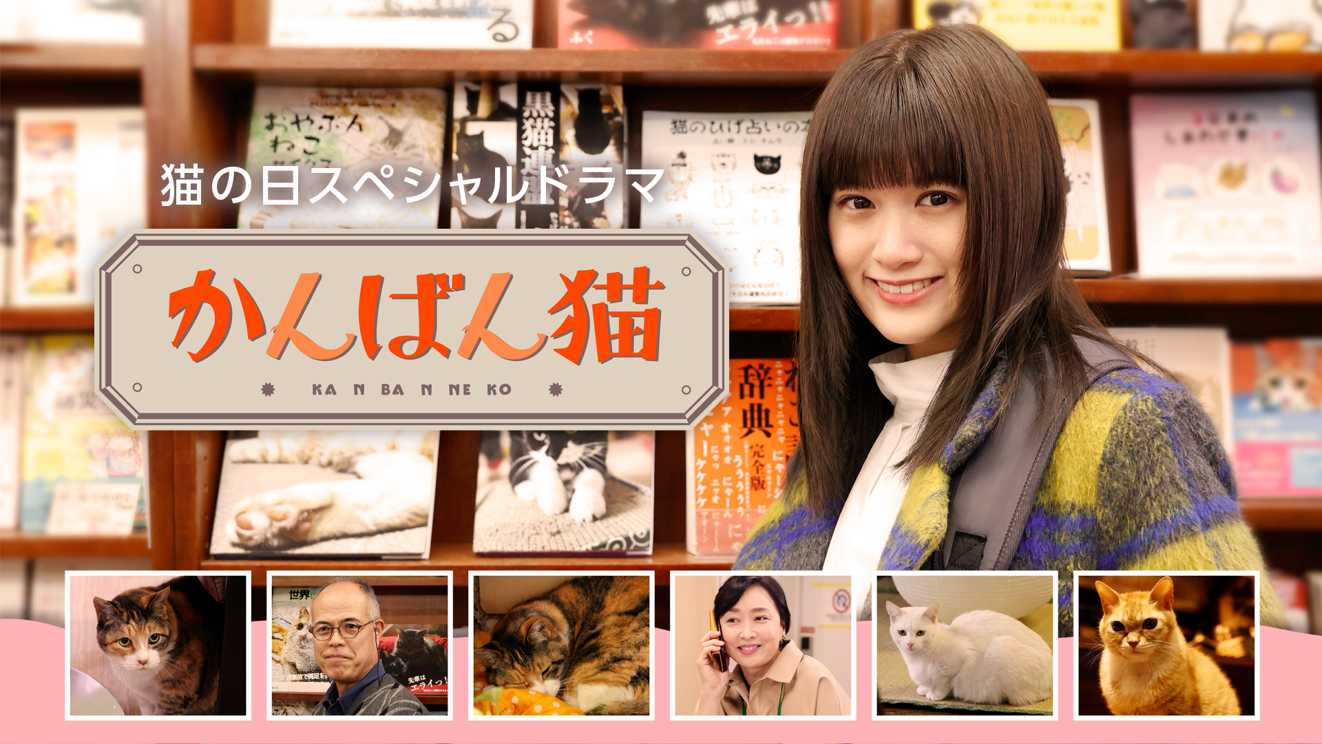 nekononichisupesharudorama kanbanneko