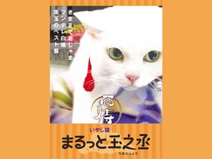 nekosamurai maruttotamayukijou
