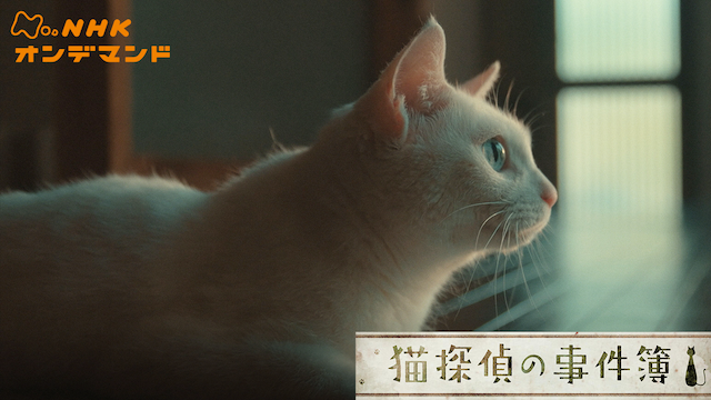 nekotanteinojikenbo