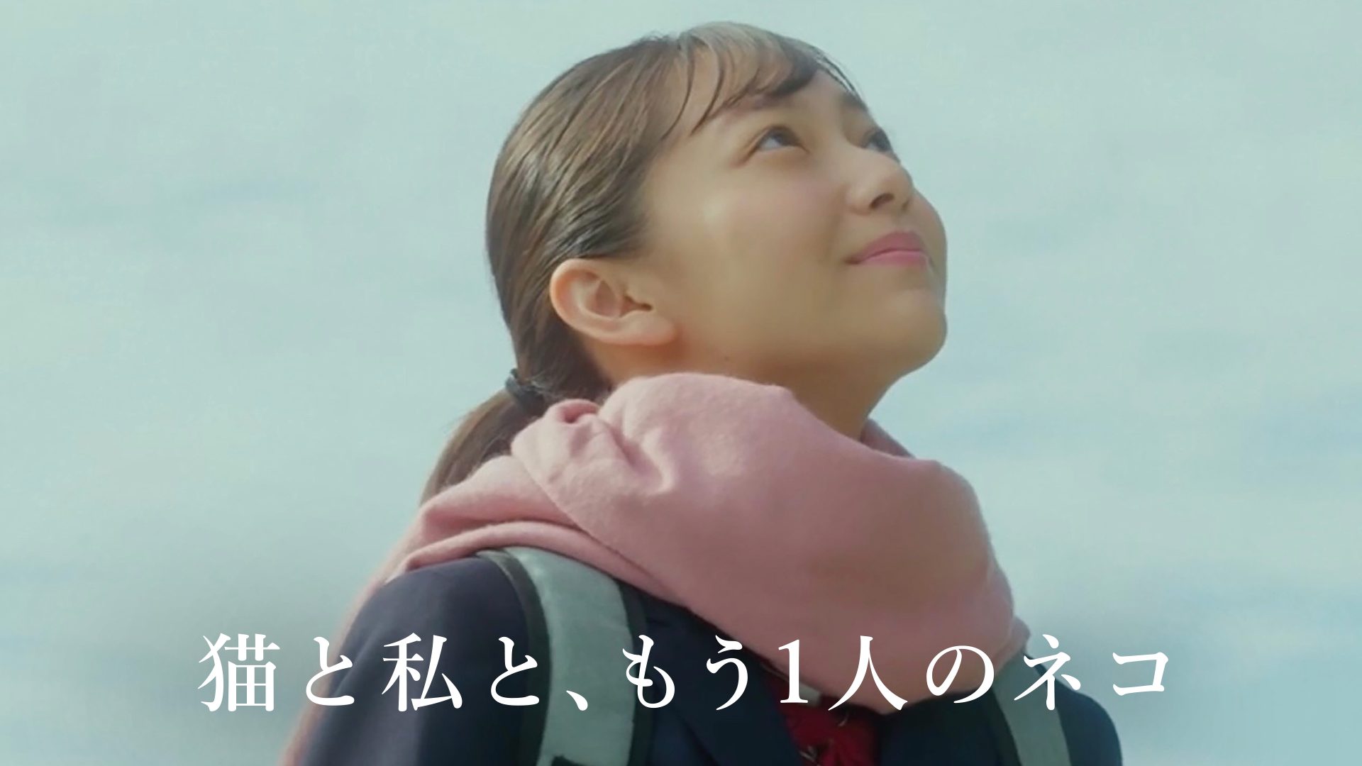 nekotowatashito mou1ninnoneko 59920