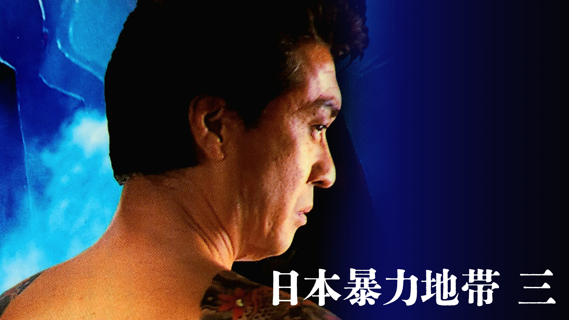 nipponbouryokuchitai san