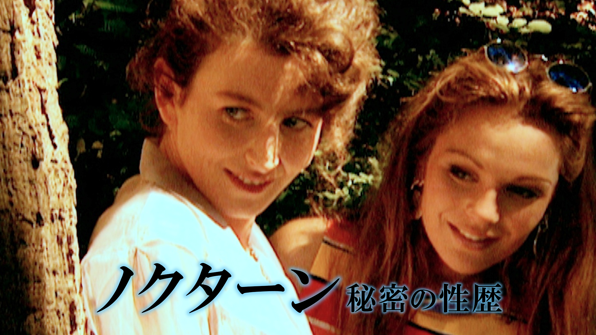 nokutaan himitsunoseireki