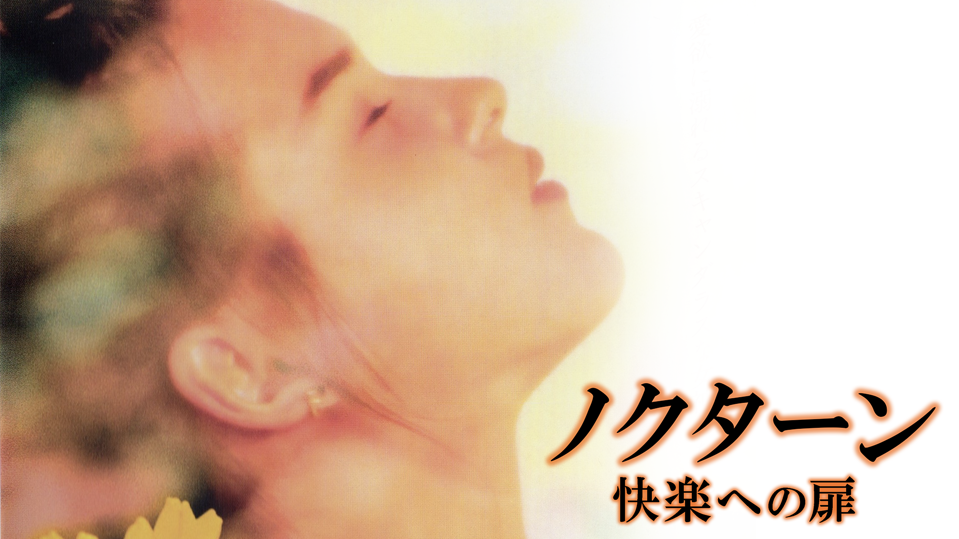 nokutaan kairakuhenotobira