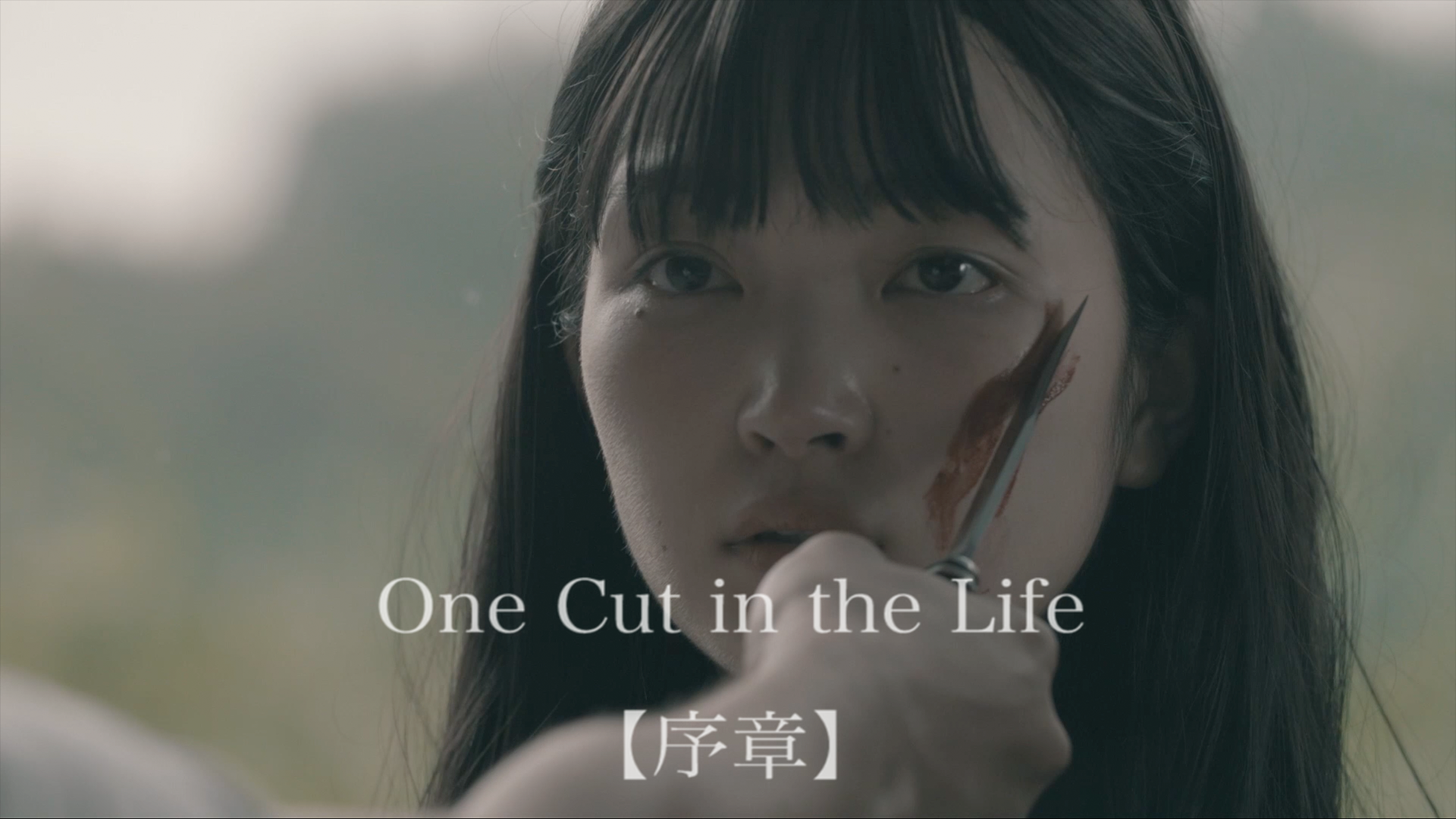 one cut in the life joshou