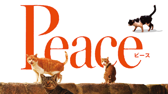 peace piisu