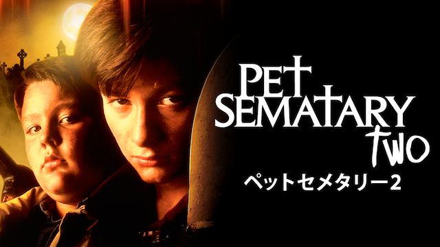 petto semetarii2