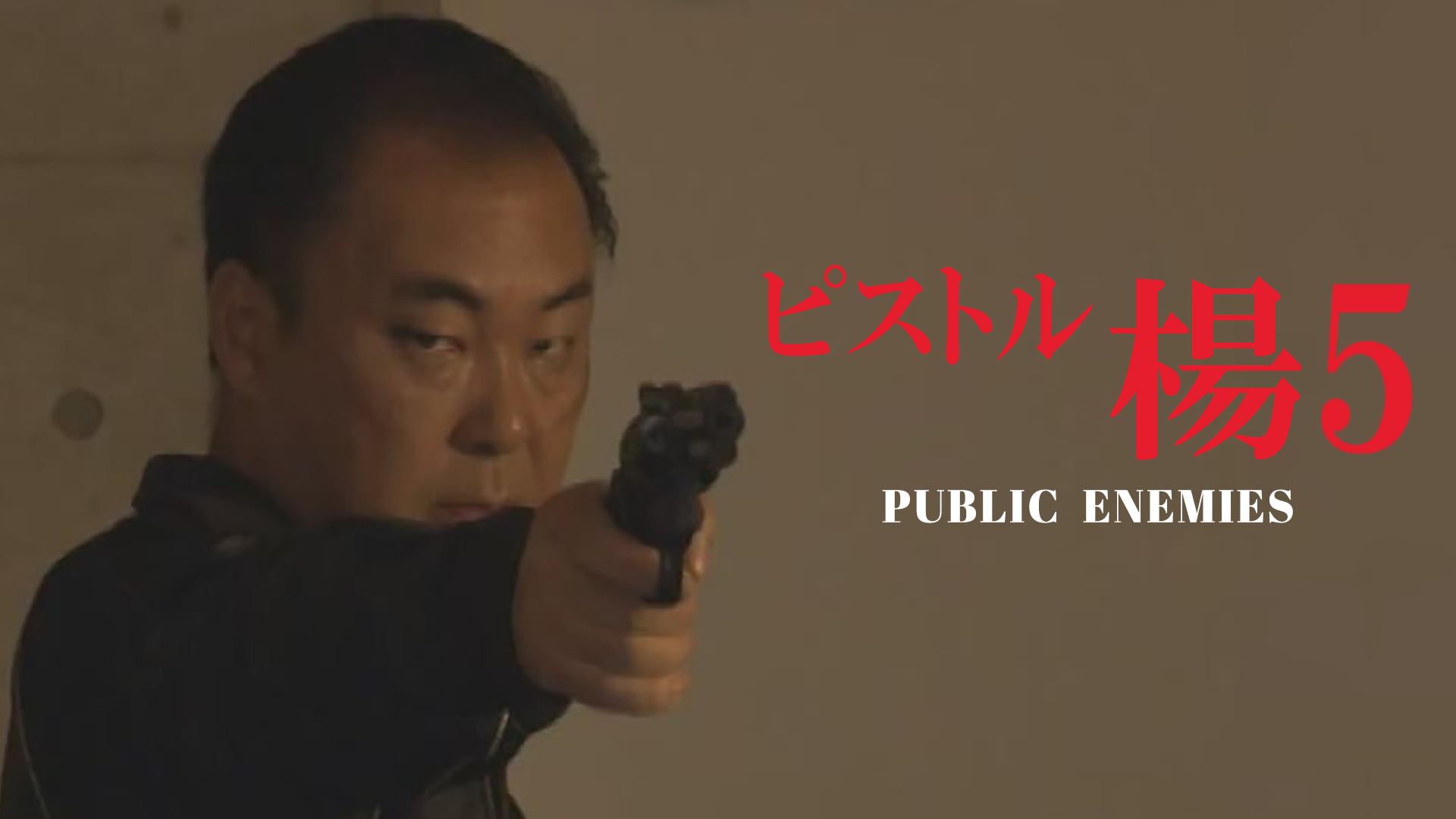 pisutoruyou 5 public enemies