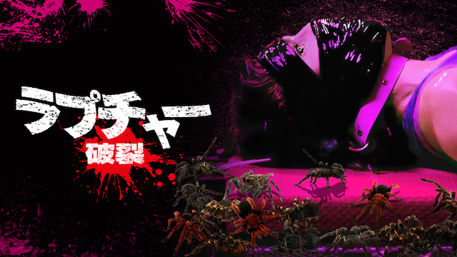 rapuchaa haretsu