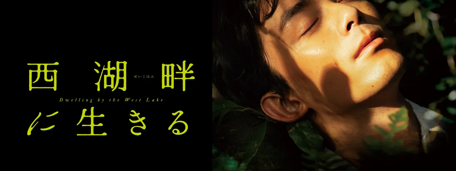 saikoaze seikohan niikiru