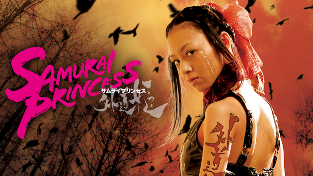 samuraipurinsesu gaidouhime