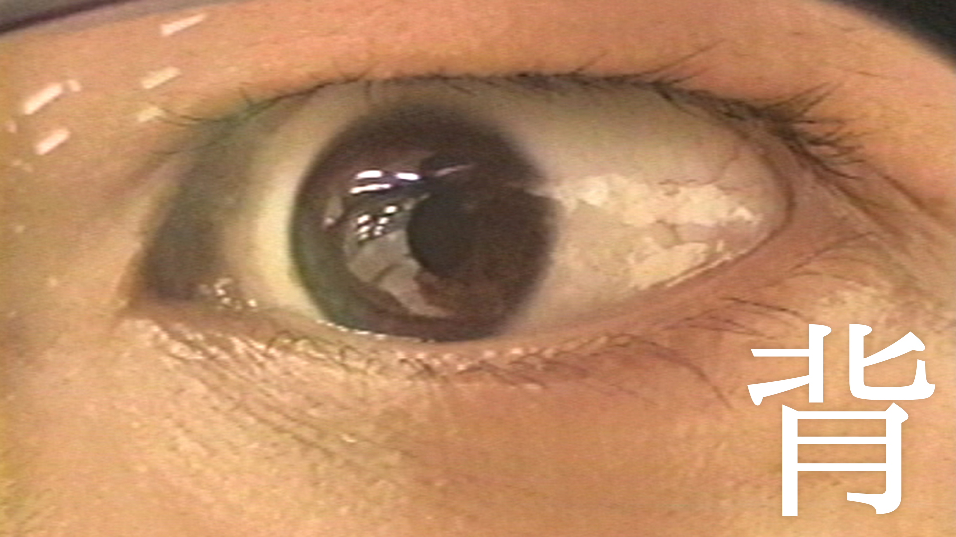 se