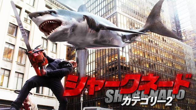 shaakuneedo kategorii2
