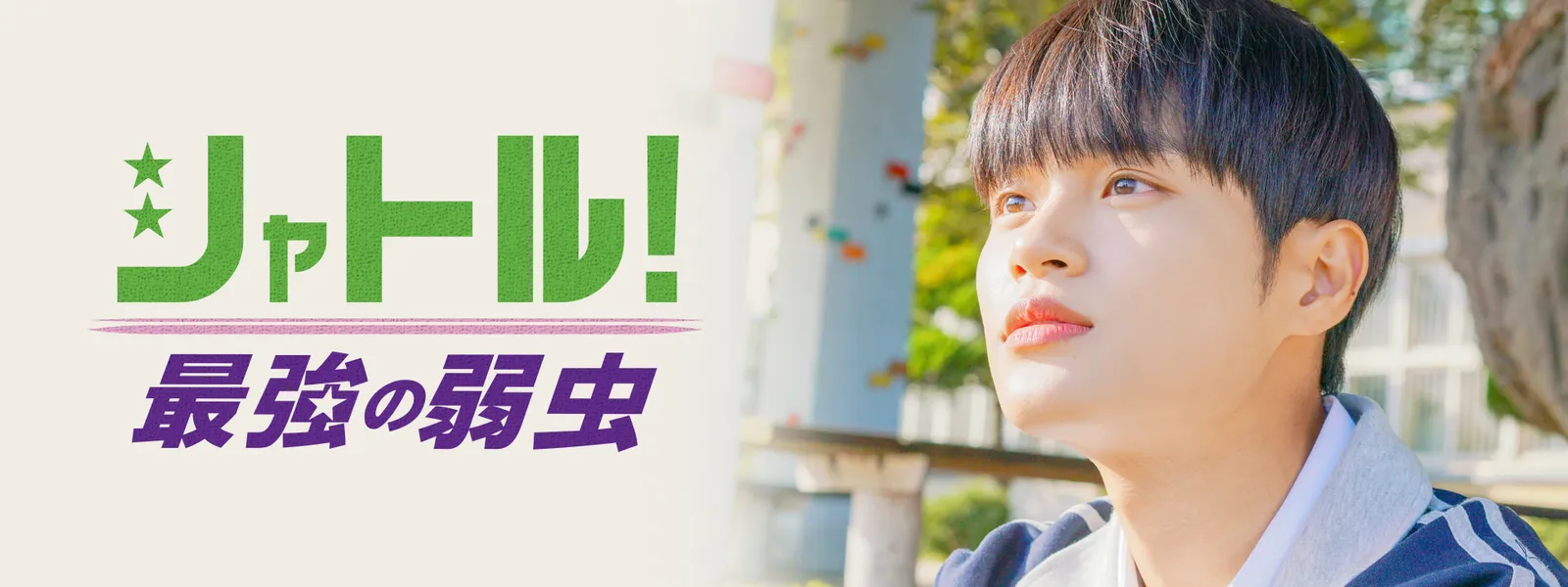 shatoru saikyounoyowamushi