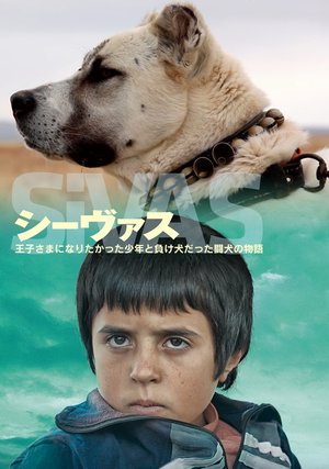 shiivasu