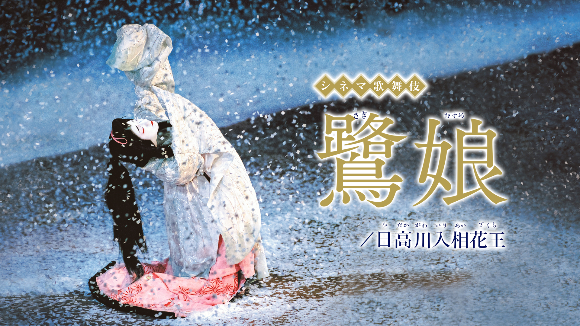 shinemakabuki sagimusume hidakagawairiai