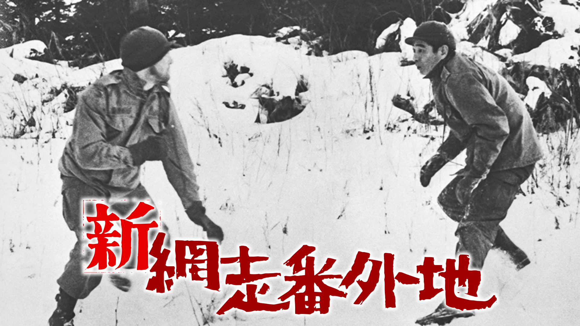 shinmousoubangaichi