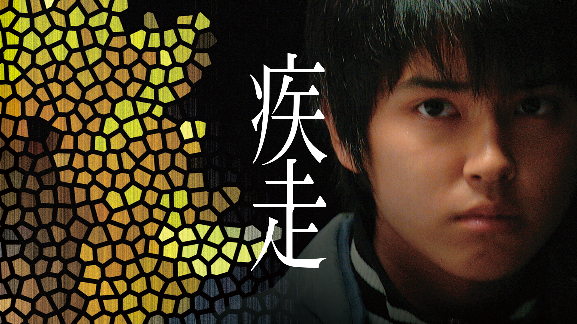 shissou 57943