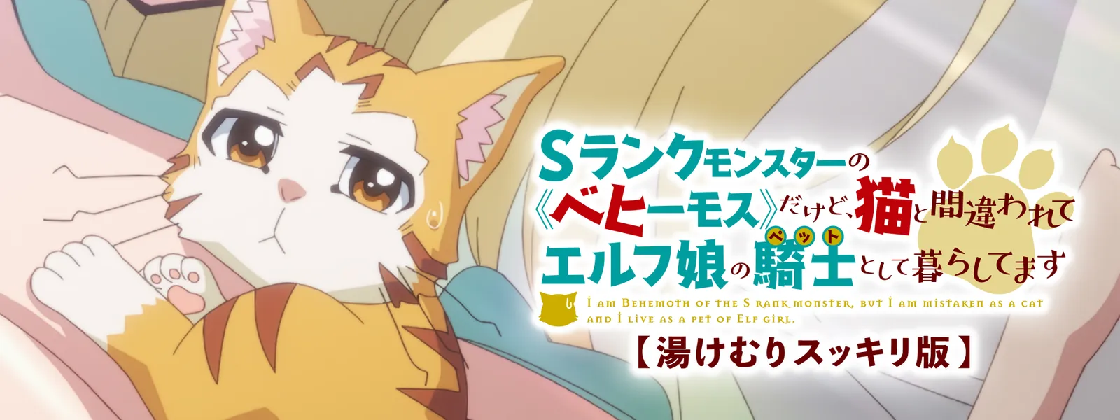 srankumonsutaano behiimosu dakedo nekoto 1
