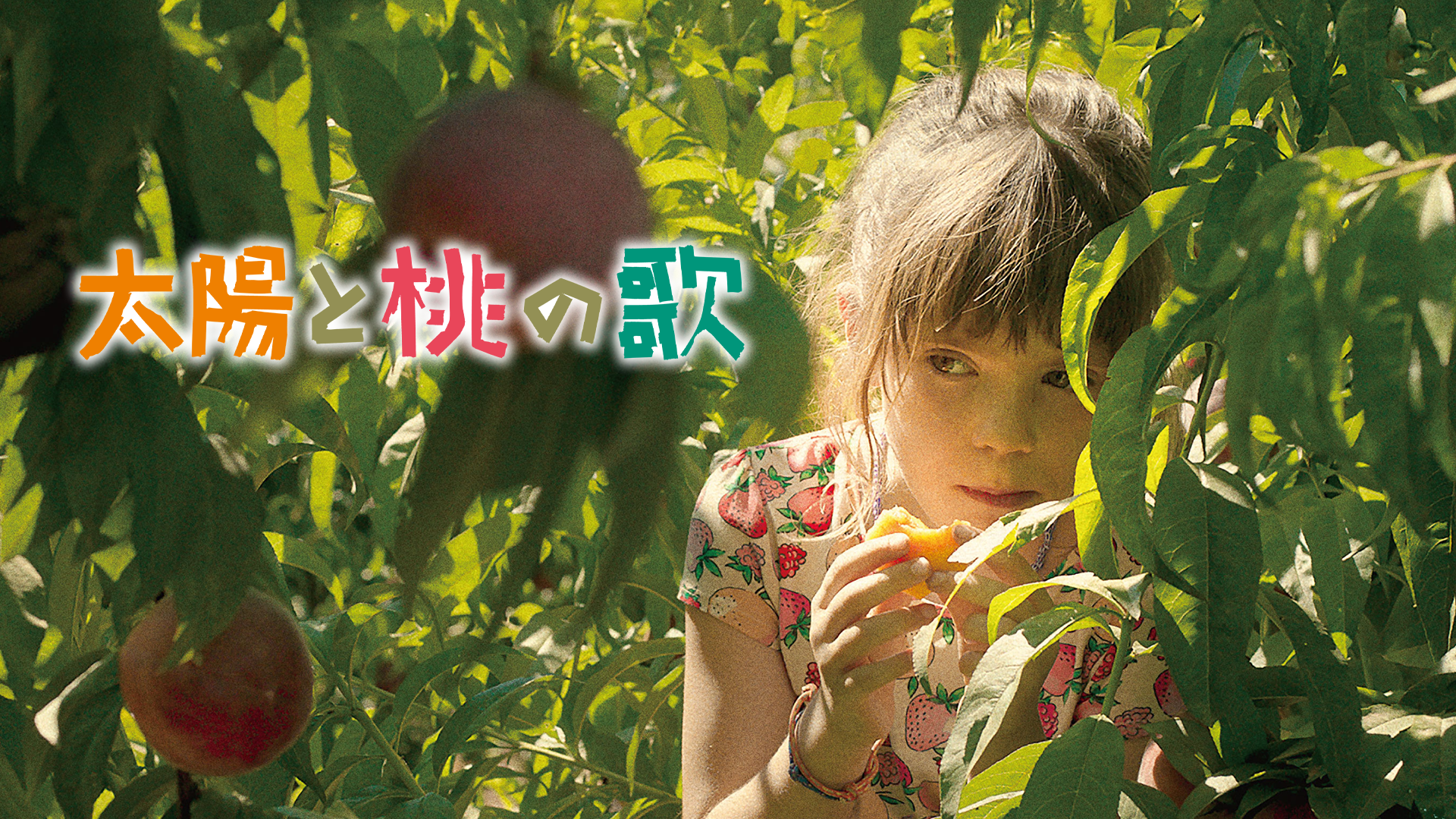 taiyoutomomonouta