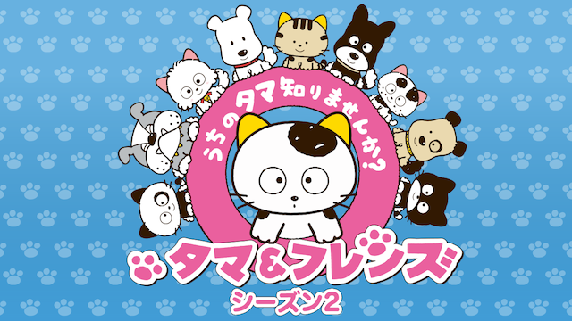 tama furenzu uchinotamashirimasenka shii