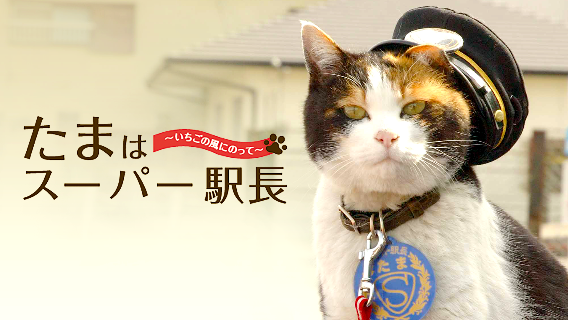 tamahasuupaaekichou ichigonokazeninotte