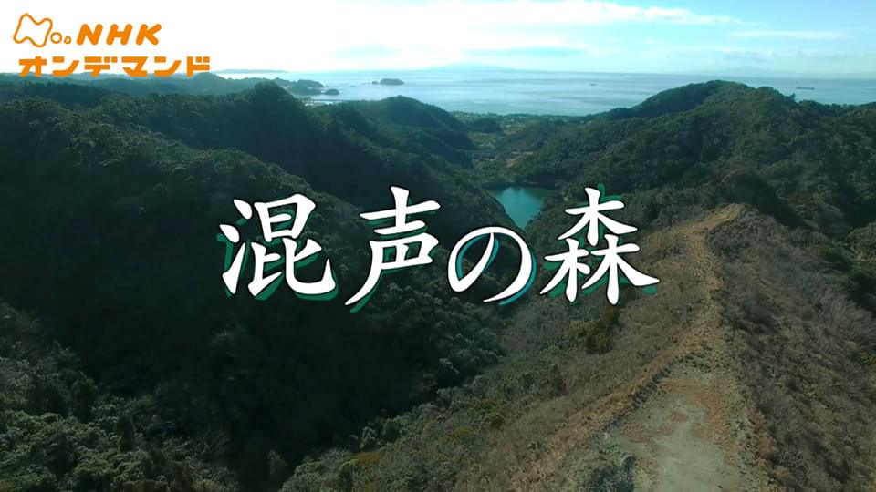 tokushuudorama konseinomori