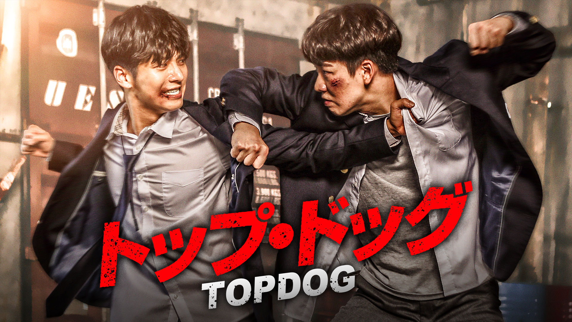 toppu doggu
