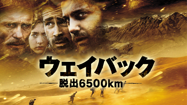 ueibakku dasshutsu6500km 46269