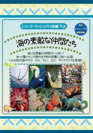 uminosutekinanakamatachi