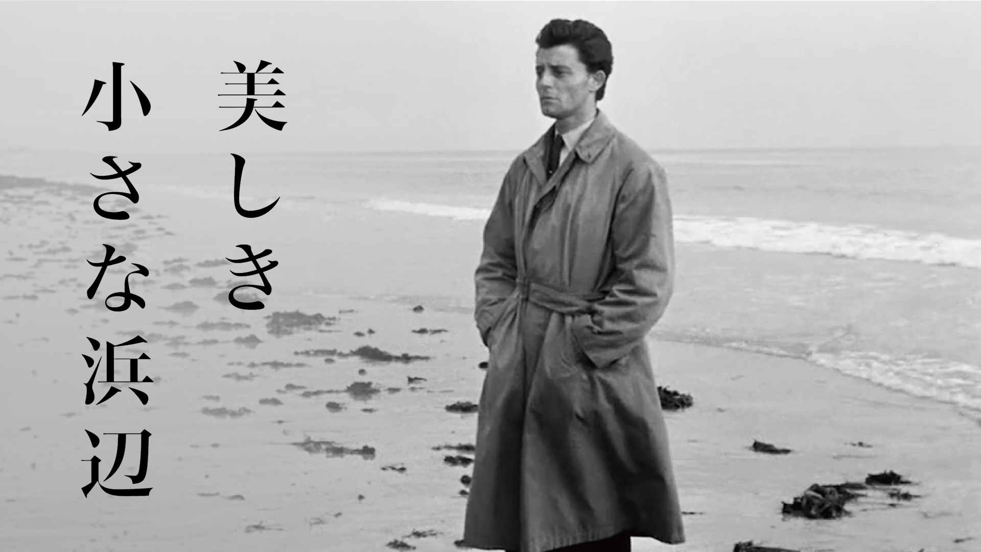 utsukushikichiisanahamabe
