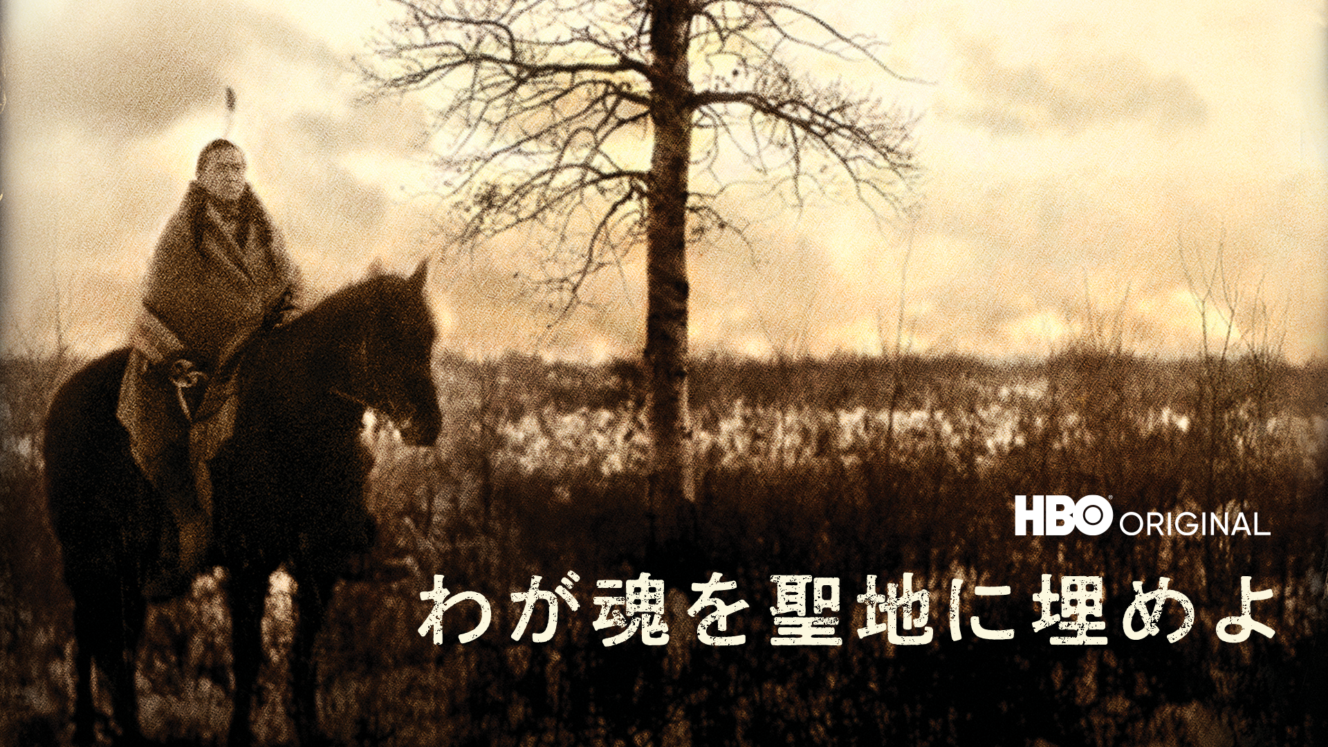 wagatamashiiwoseichiniumeyo
