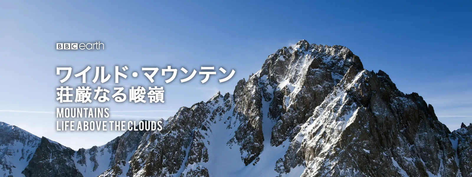 wairudowairudomaunten sougonnarushunrei