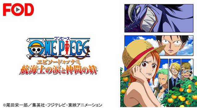 wanpiisu episoodo obu nami koukaishinona