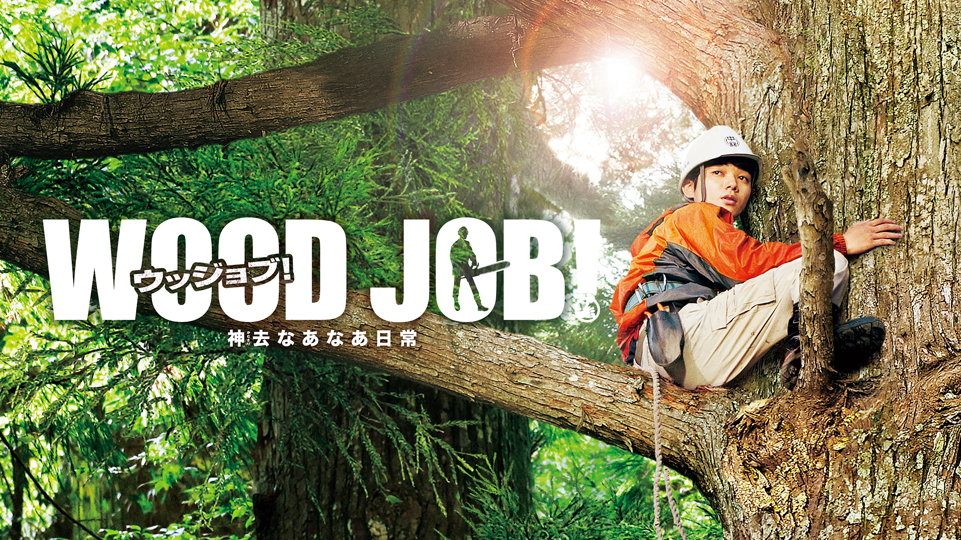 wood job ujjobu kamikyonaanaanichijou
